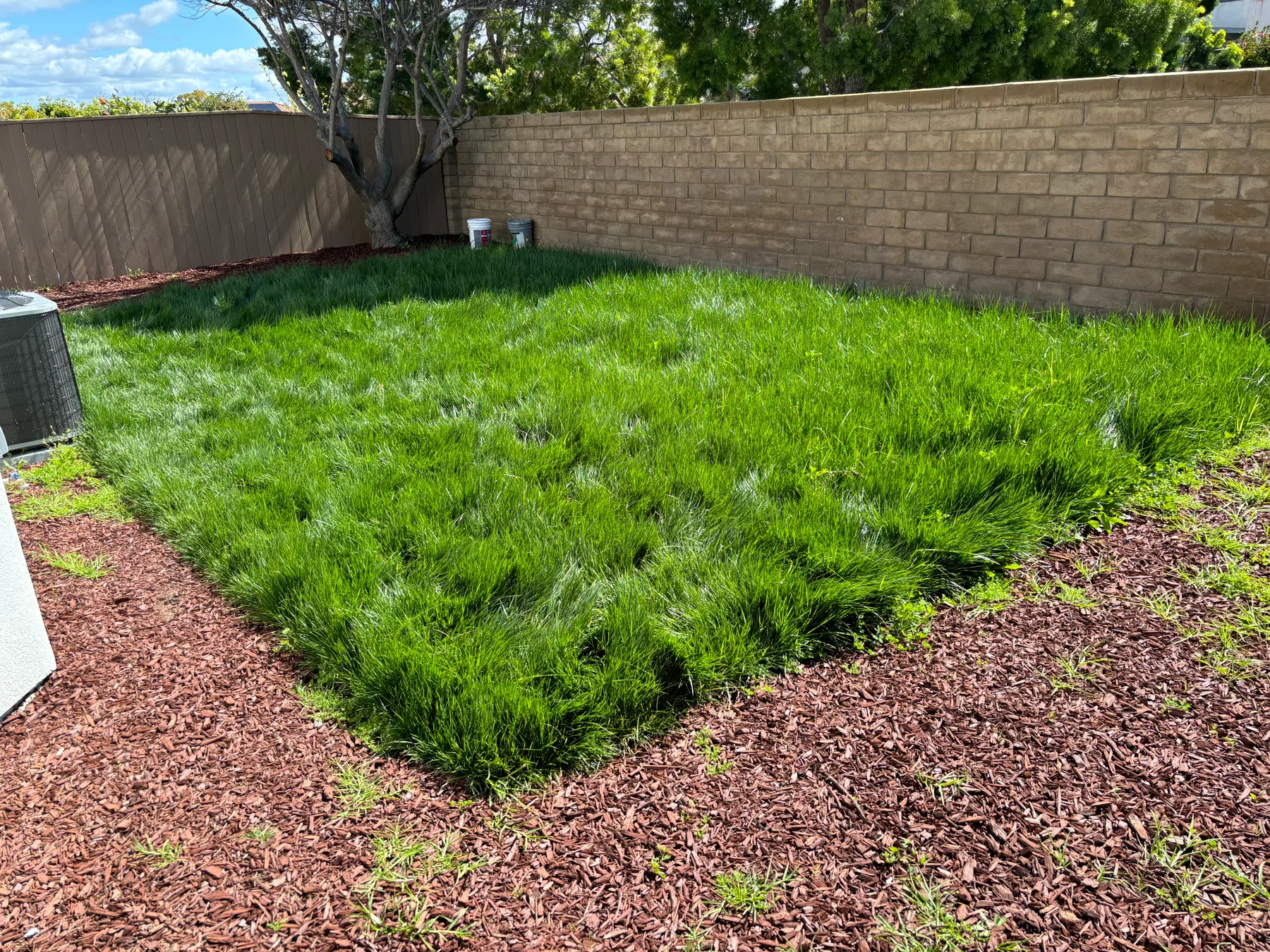 Paver patio project — before