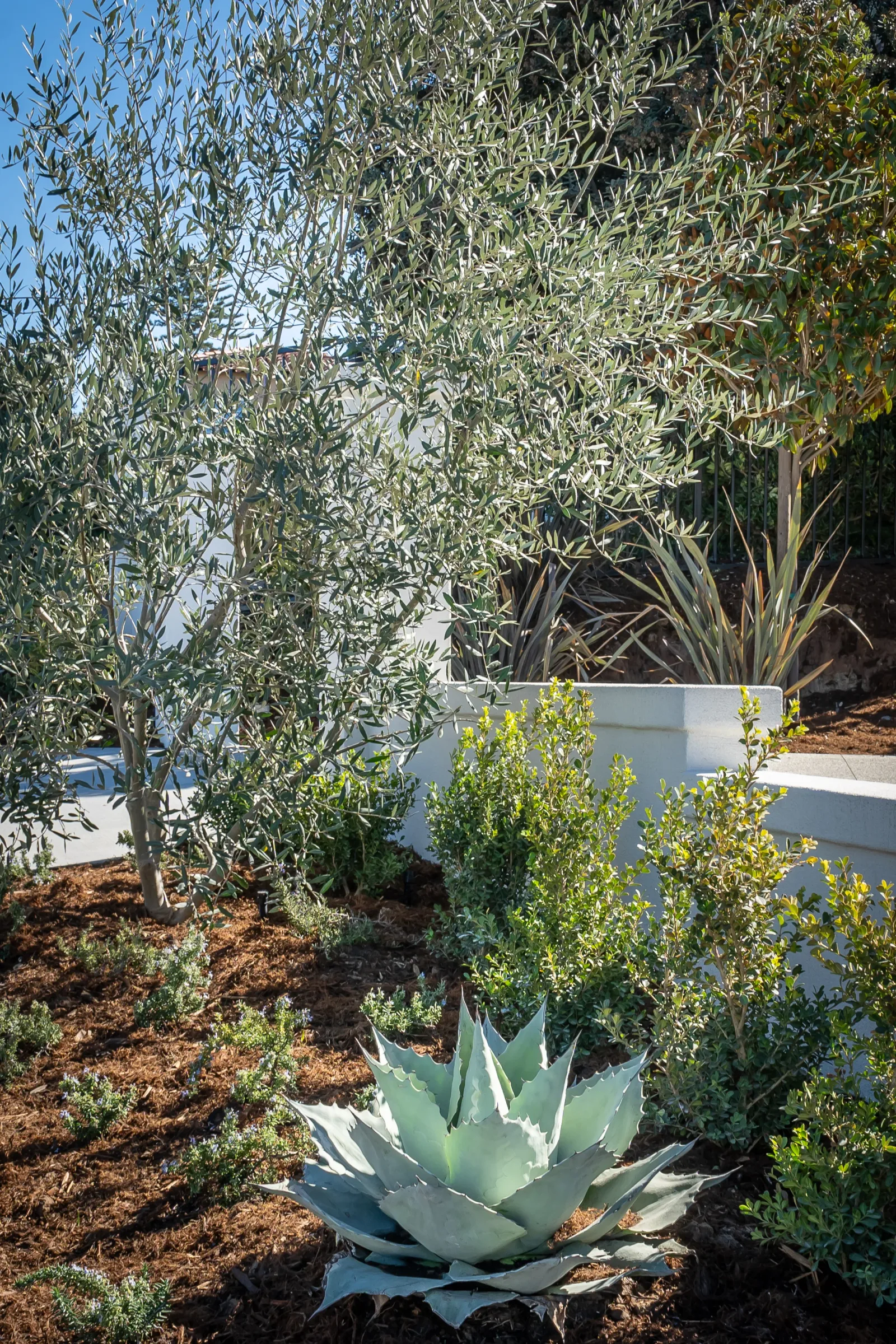 Complete Carlsbad backyard remodel with terraced patio, outdoor kitchen, and patio cover